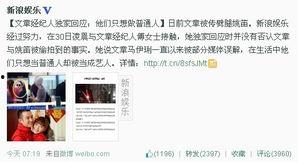 网上娱乐圈爆料都是假的,真相与谣言的交织  第3张