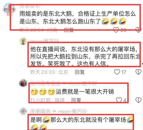 爆料大鹅解说视频网易版,揭秘游戏幕后故事与精彩瞬间  第1张